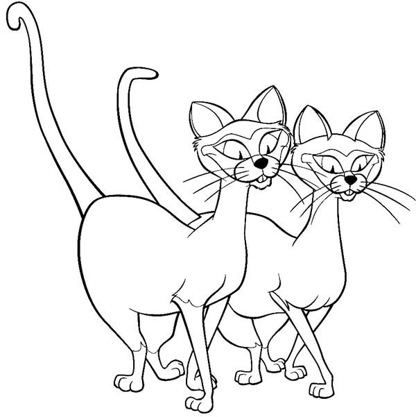 Siamese Cat coloring #5, Download drawings