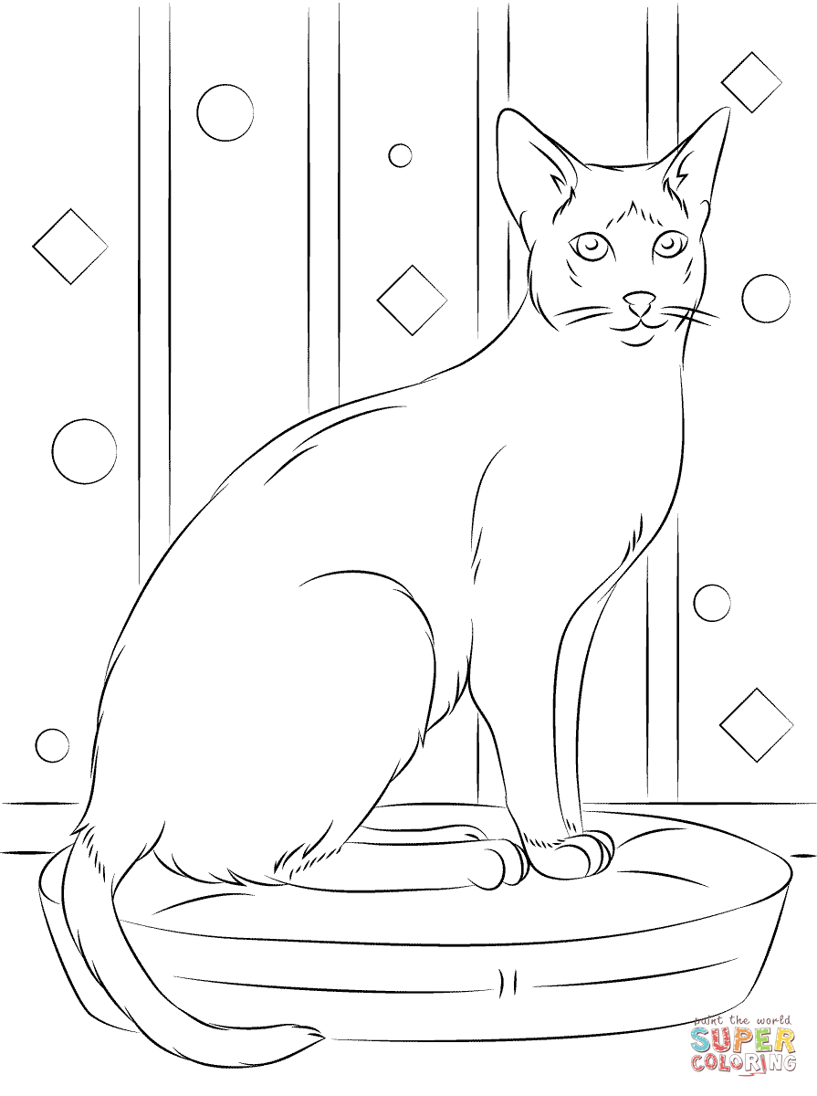 Siamese Cat coloring #8, Download drawings