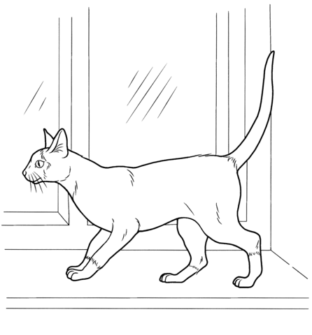 Siamese Cat coloring #7, Download drawings