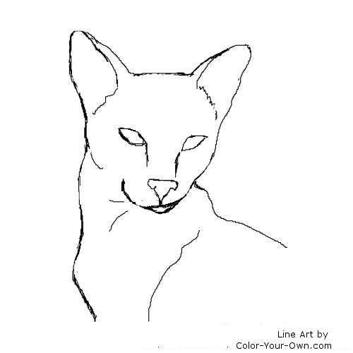 Siamese Cat coloring #4, Download drawings