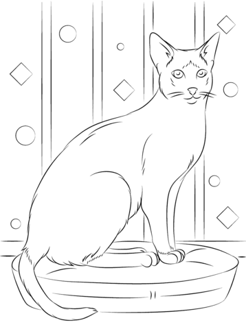 Siamese Cat coloring #10, Download drawings