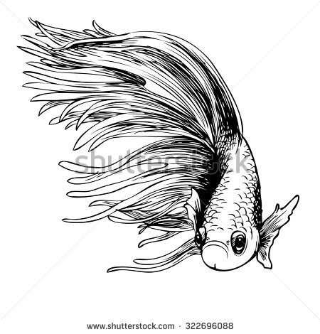 Siamese Fighting Fish coloring #7, Download drawings