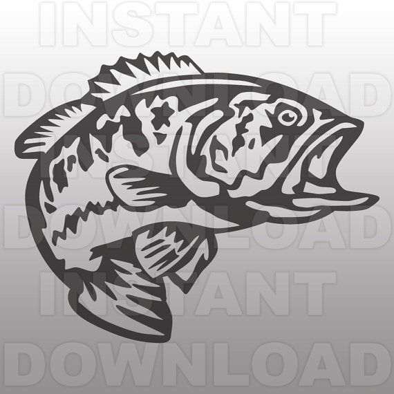 Siamese Fighting Fish svg #1, Download drawings