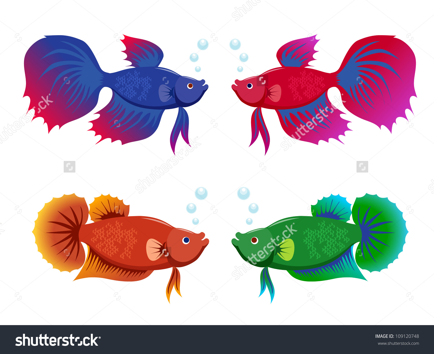 Siamese Fighting Fish svg #14, Download drawings