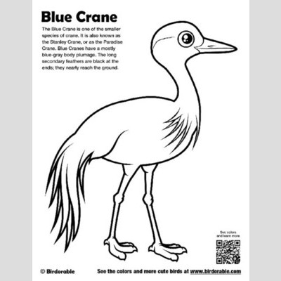 Siberian Crane coloring #1, Download drawings