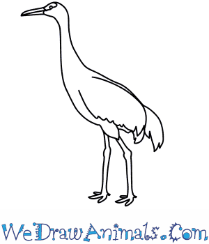 Siberian Crane coloring #7, Download drawings