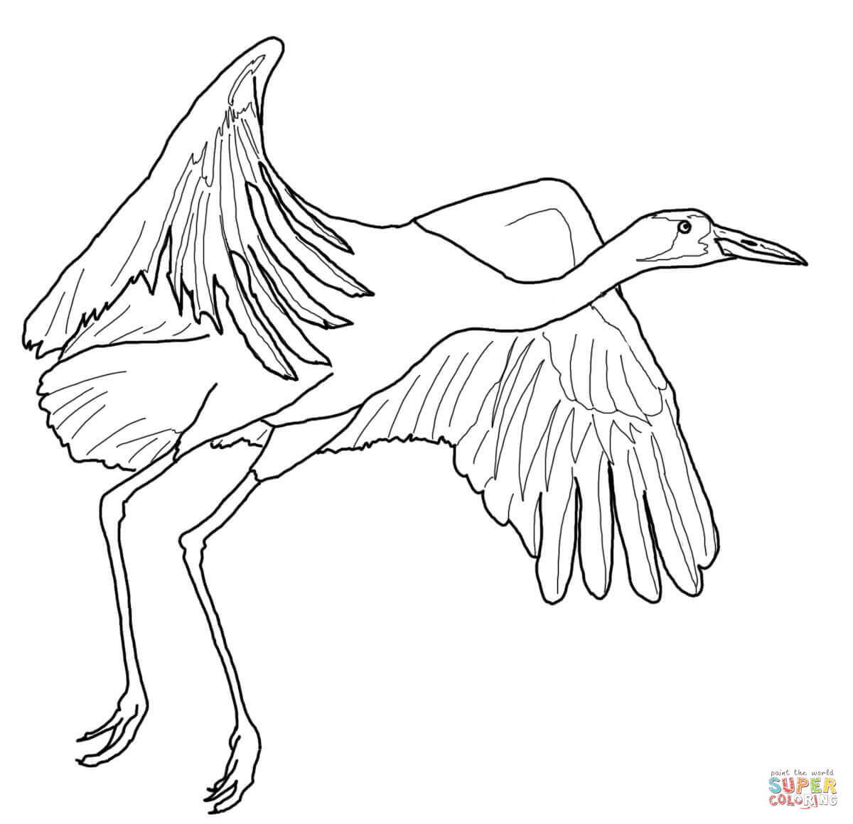 Siberian Crane coloring #17, Download drawings