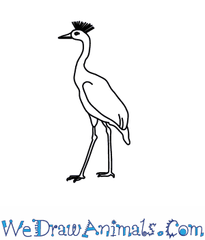 Siberian Crane coloring #20, Download drawings