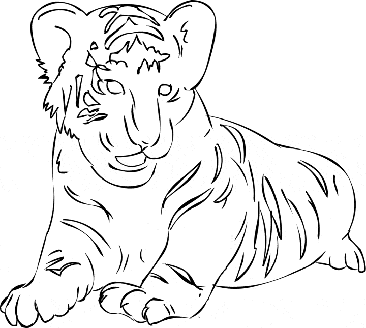 Siberian Tiger coloring #12, Download drawings