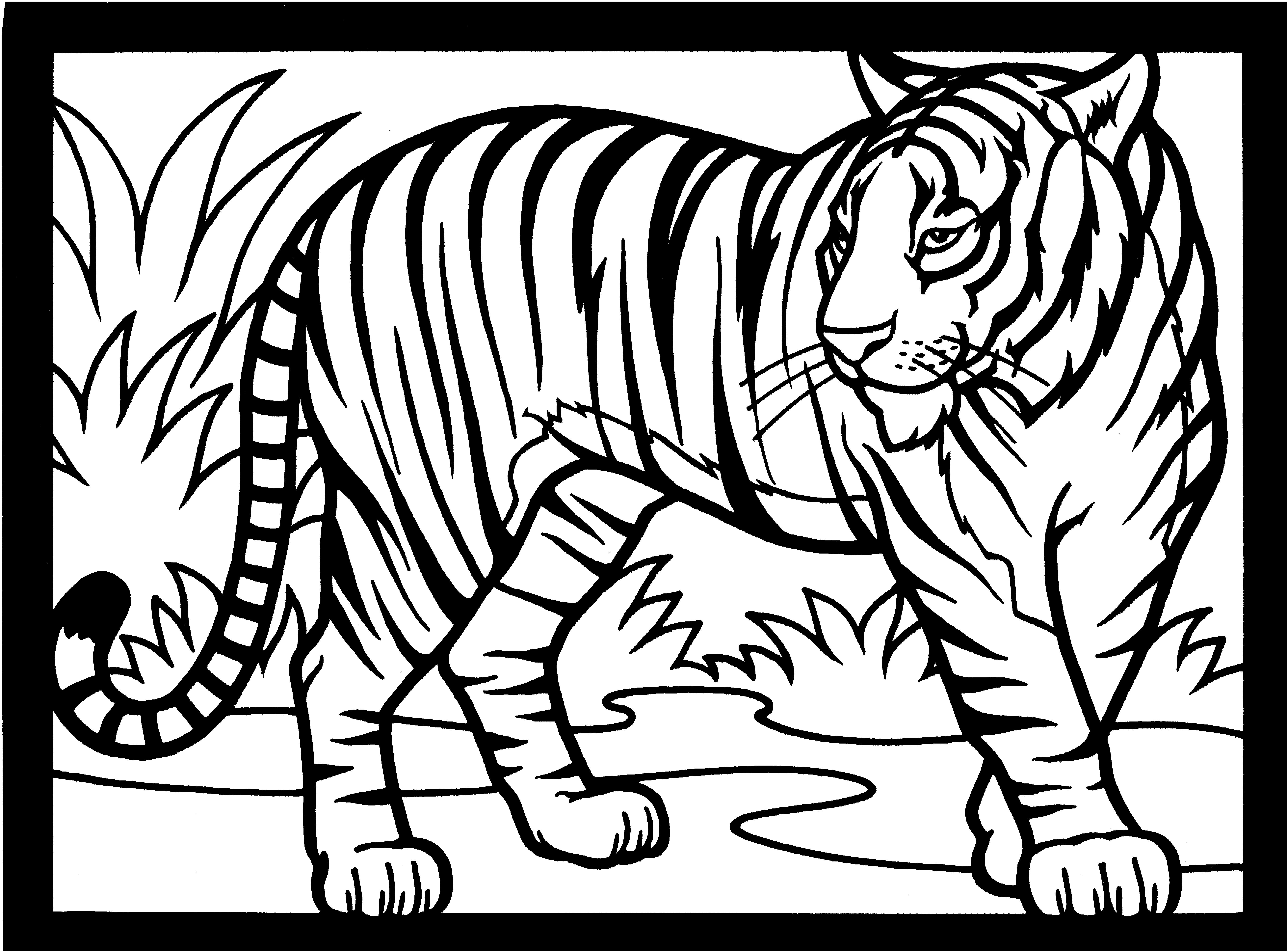 Siberian Tiger coloring #17, Download drawings