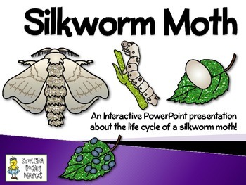 Silk Moth clipart #8, Download drawings