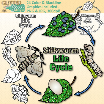 Silk Moth clipart #5, Download drawings