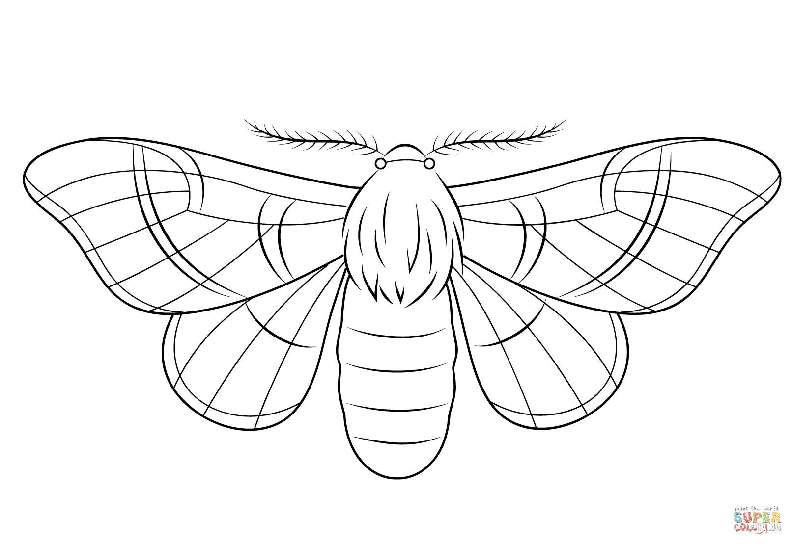 Silk Moth coloring #5, Download drawings