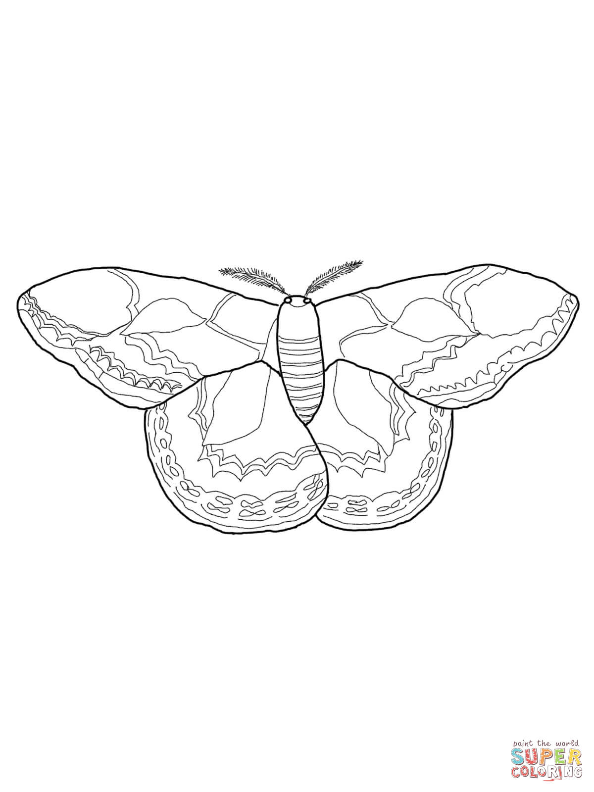 Silk Moth coloring #12, Download drawings