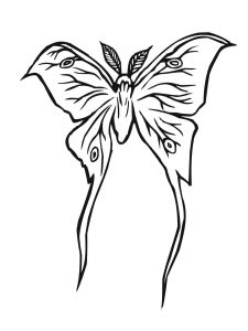 Silk Moth coloring #18, Download drawings