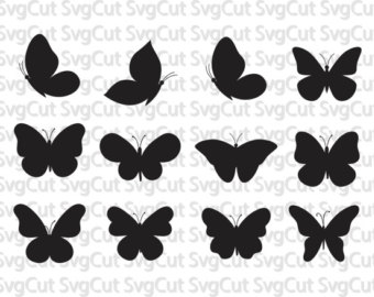 Silk Moth svg #15, Download drawings
