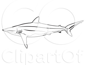 Silky Shark coloring #10, Download drawings