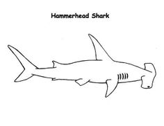 Silky Shark coloring #11, Download drawings