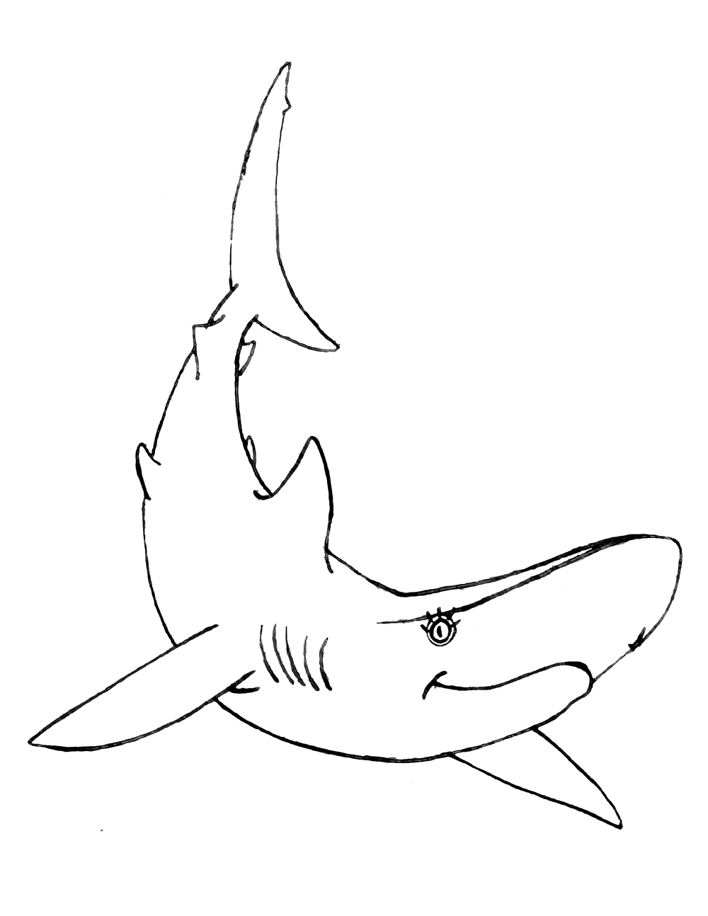 Silky Shark coloring #14, Download drawings