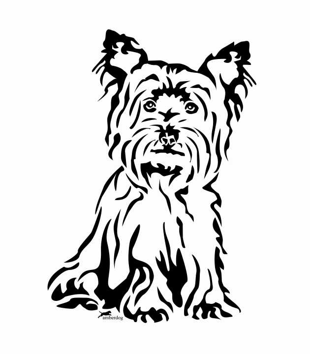 Silky Terrier clipart #17, Download drawings