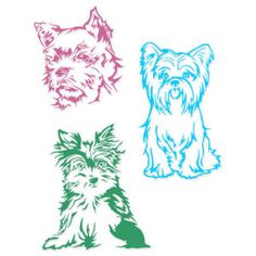 Silky Terrier svg #2, Download drawings