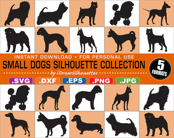 Silky Terrier svg #5, Download drawings