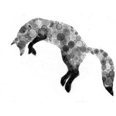 Silver Fox clipart #6, Download drawings