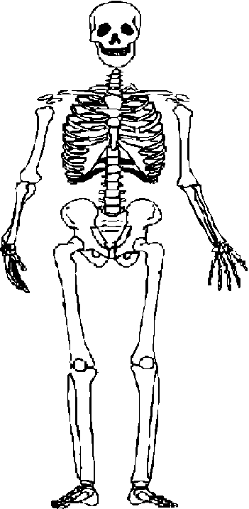 Skeleton clipart #14, Download drawings