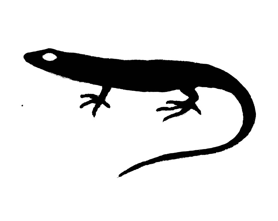 Skink clipart #19, Download drawings