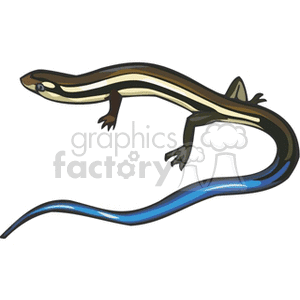 Skink clipart #10, Download drawings