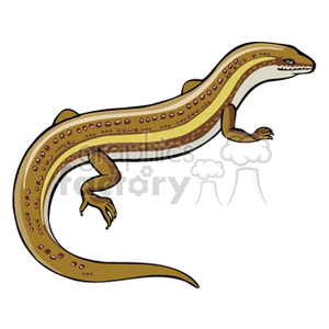 Skink clipart #11, Download drawings