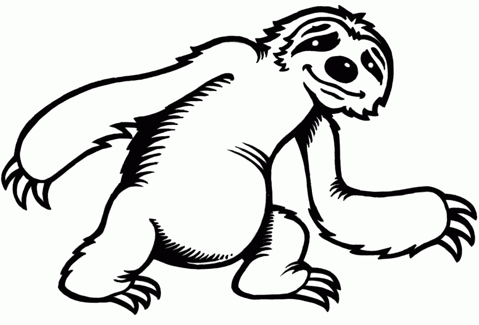 Sloth clipart #12, Download drawings