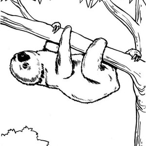 Sloth coloring #16, Download drawings