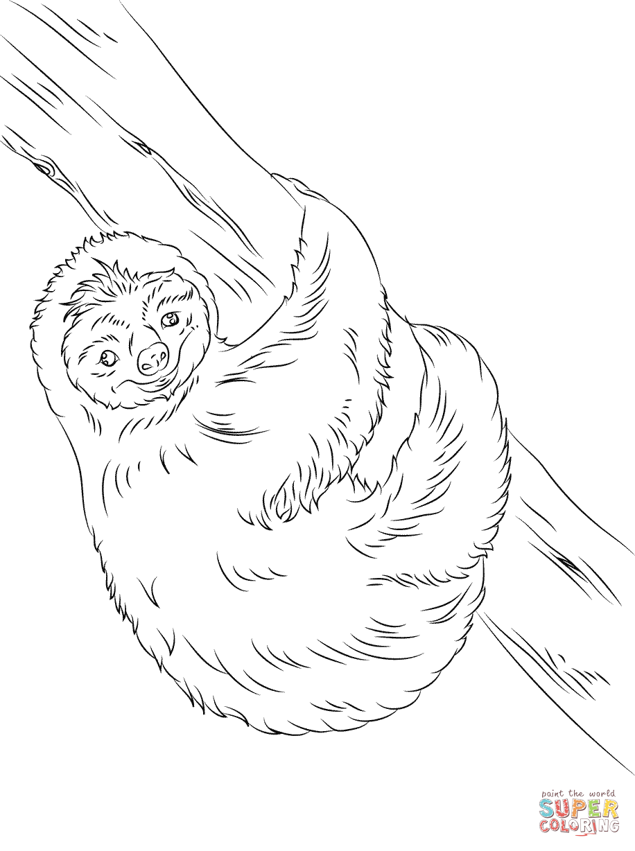 Sloth coloring #5, Download drawings