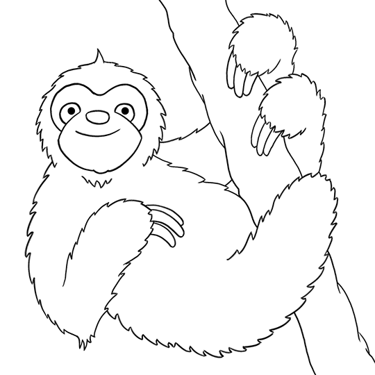 Three Toed Sloth coloring #13, Download drawings