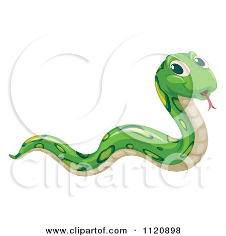Smooth Green Snake clipart #9, Download drawings