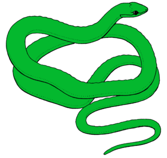 Smooth Green Snake clipart #15, Download drawings