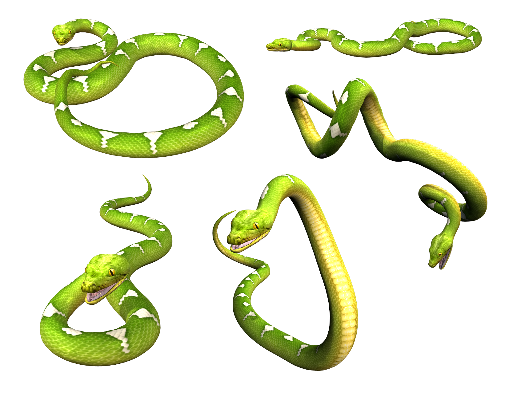 Smooth Green Snake svg #1, Download drawings