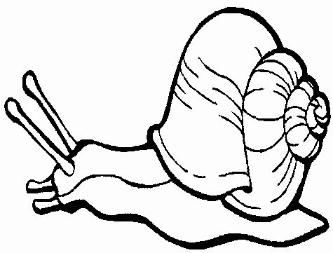 Snail coloring #14, Download drawings
