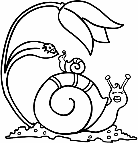 Snail coloring #15, Download drawings