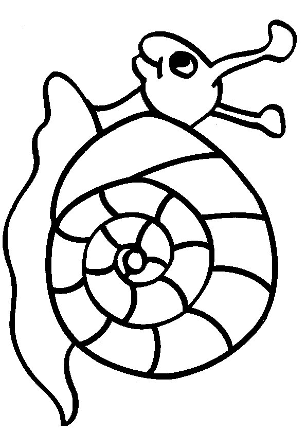 Snail coloring #19, Download drawings