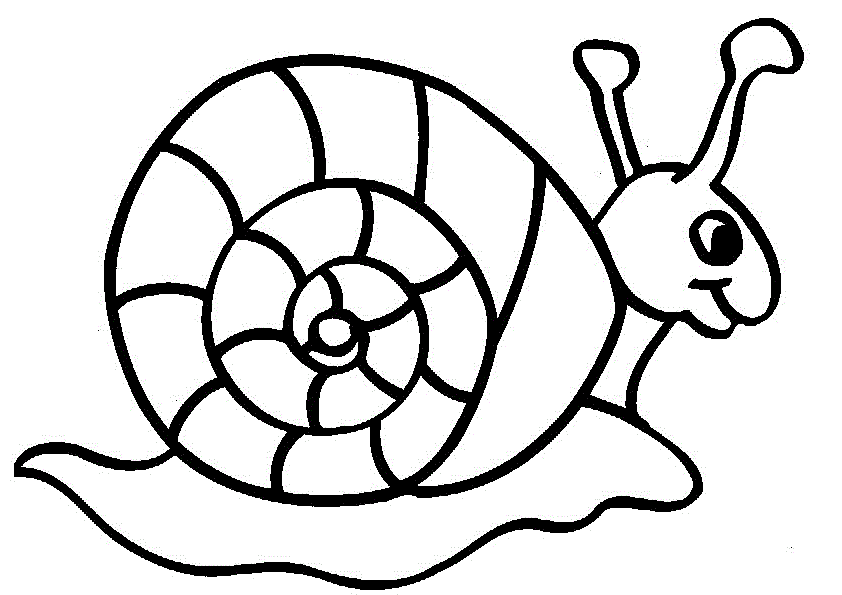 Snail coloring #1, Download drawings