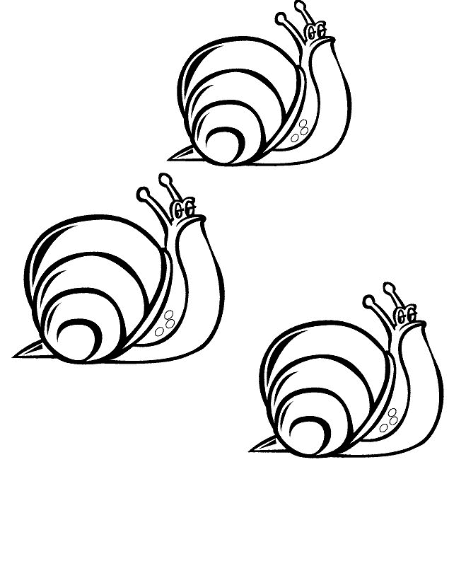 Snail coloring #2, Download drawings