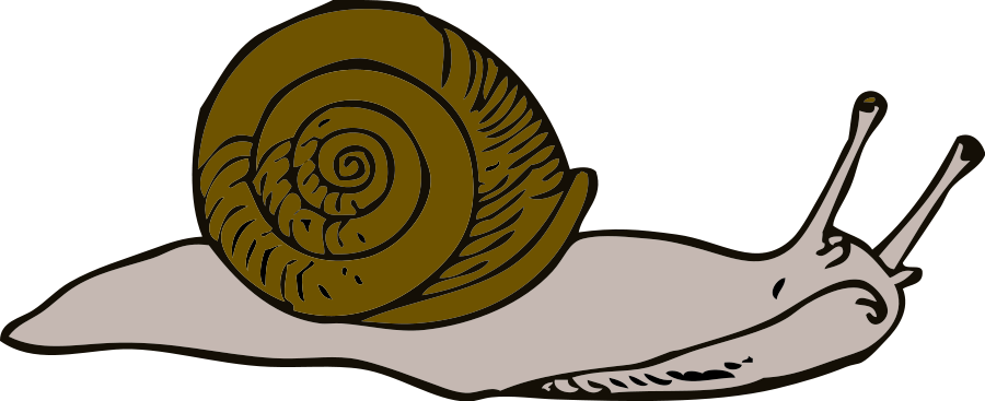 Snail svg #14, Download drawings