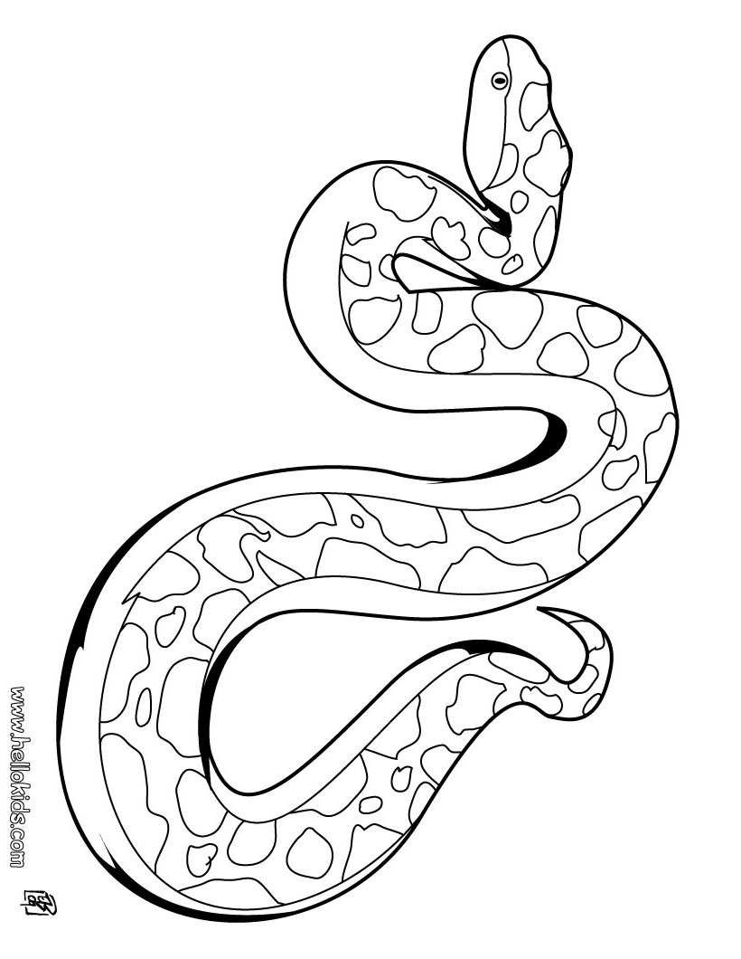Grass Snake coloring #5, Download drawings