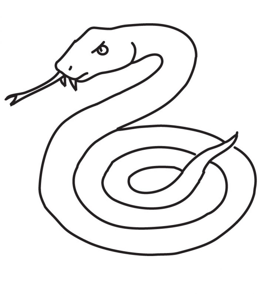 Snake coloring #11, Download drawings