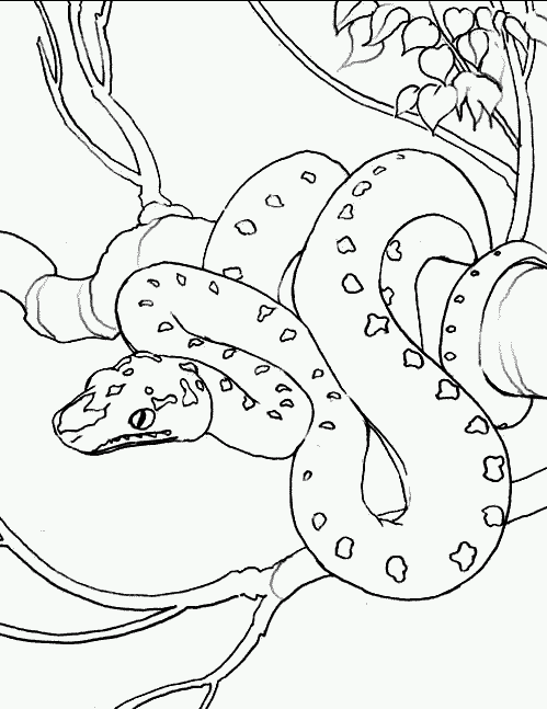 Snake coloring #4, Download drawings