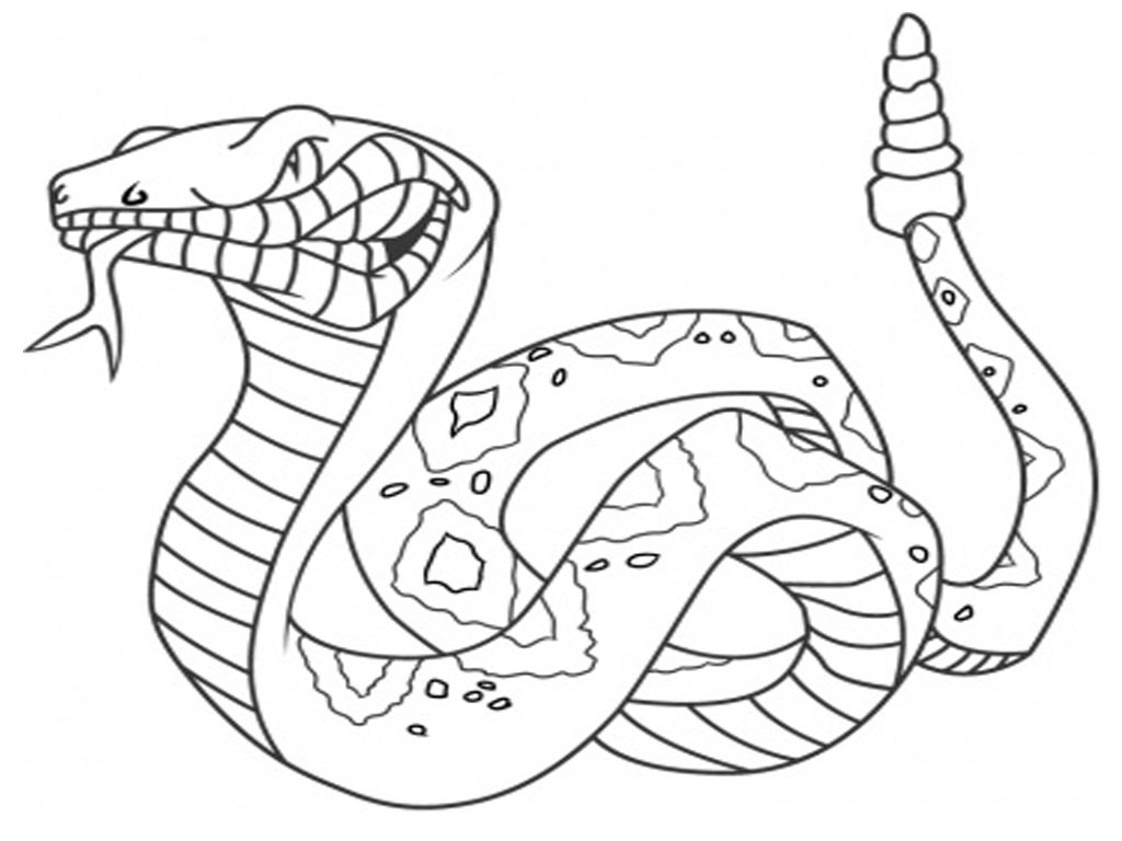 Snake coloring #2, Download drawings