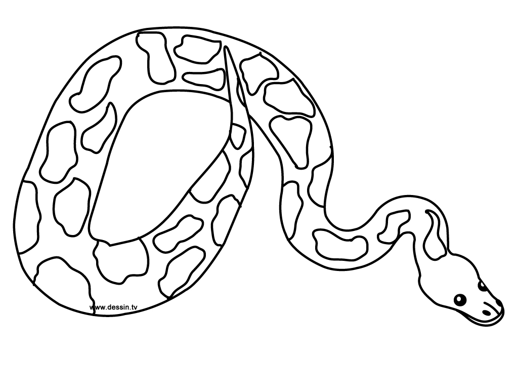 Snake coloring #17, Download drawings