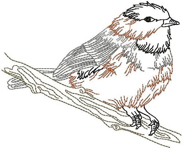 Snow Bunting coloring #10, Download drawings